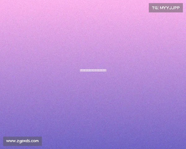 莱斯特城赛事、莱斯特城夺冠赛程比分